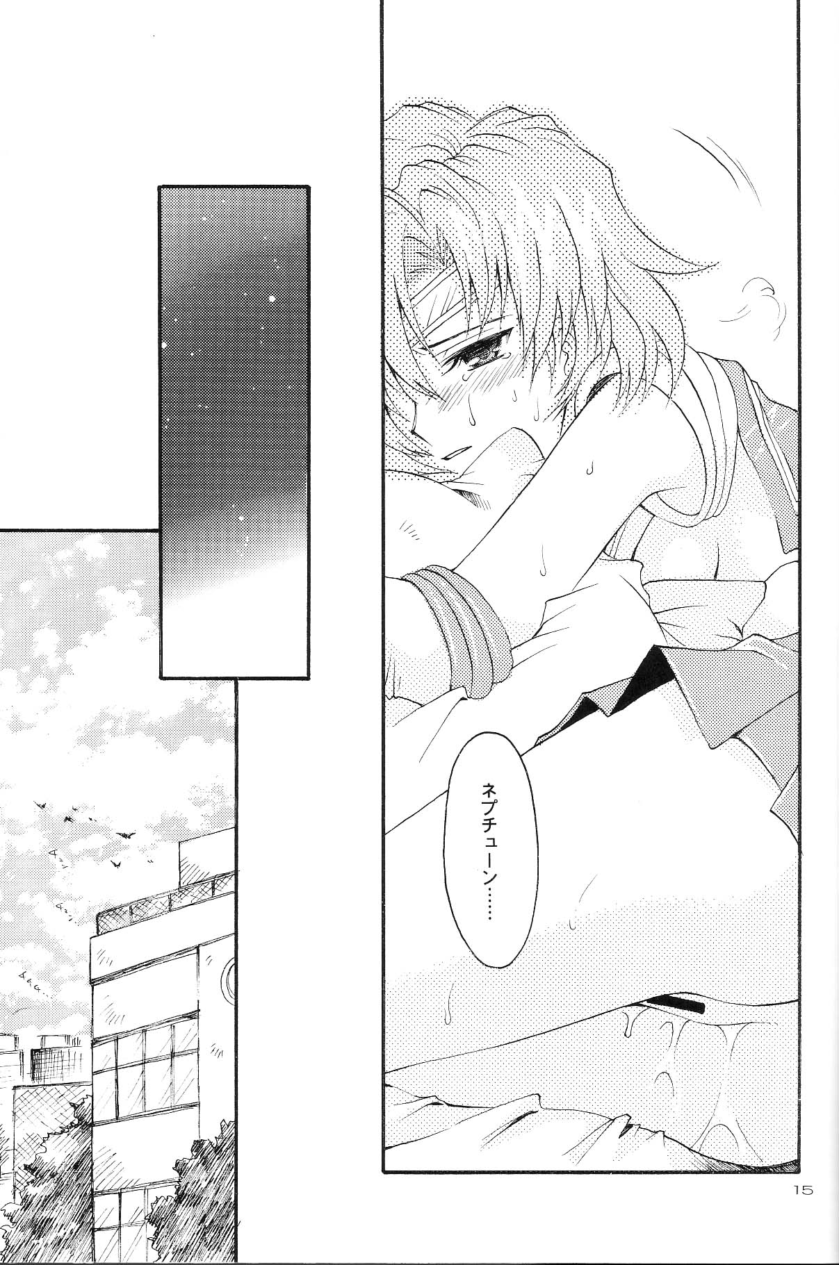 (Cレヴォ35) [小鳥事務所 (桜文鳥)] Ave Maris Stella 3 (セーラームーン)