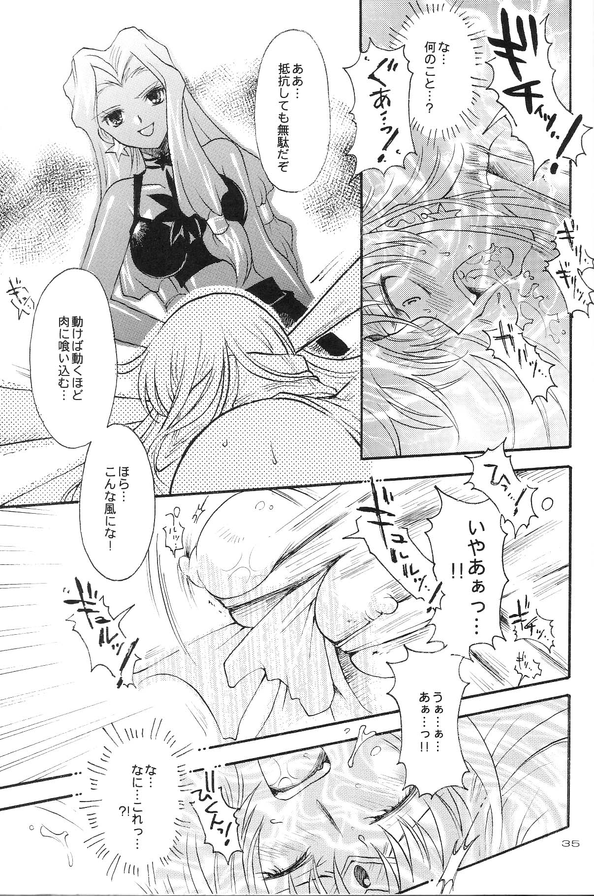 (Cレヴォ35) [小鳥事務所 (桜文鳥)] Ave Maris Stella 3 (セーラームーン)