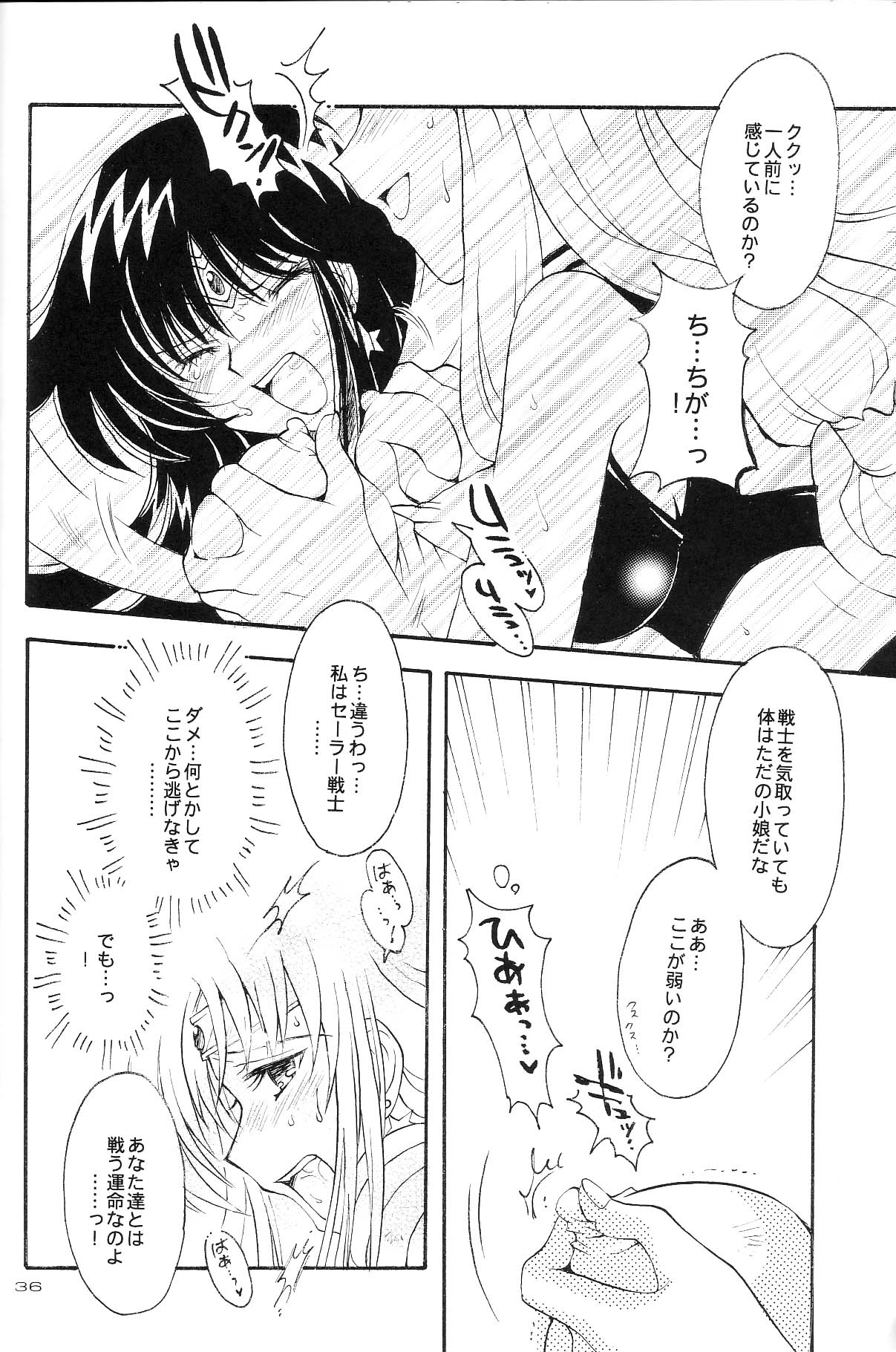 (Cレヴォ35) [小鳥事務所 (桜文鳥)] Ave Maris Stella 3 (セーラームーン)