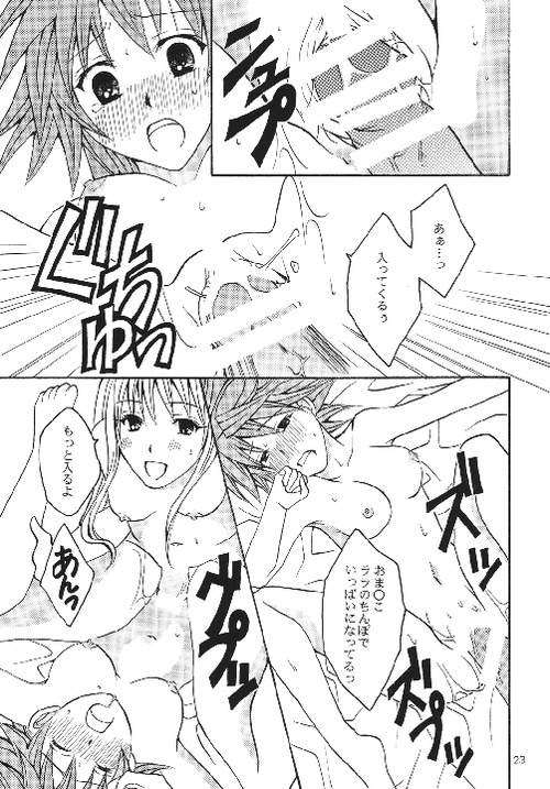 (C74) [氷月 (百乃木富夢)] リコLOVE (ToLOVEる-とらぶる-)