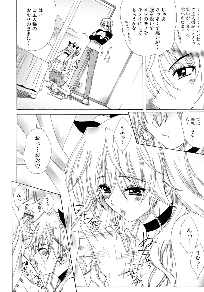 [Lapis Lazuli] DUAL GIRLS