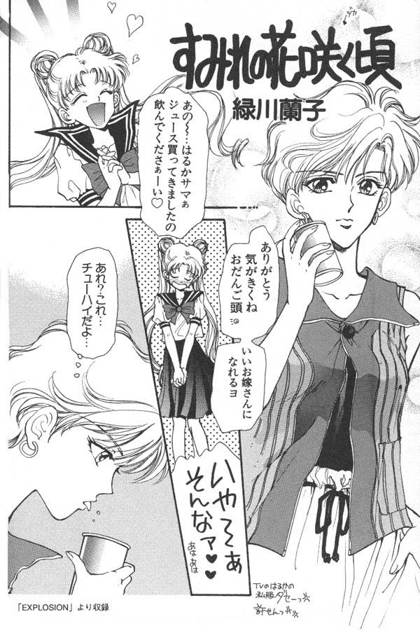 [アンソロジー] ルナティックパーティー6 (美少女戦士セーラームーン)