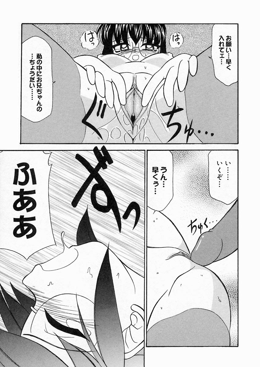 [桜りゅうけん] さくら日和