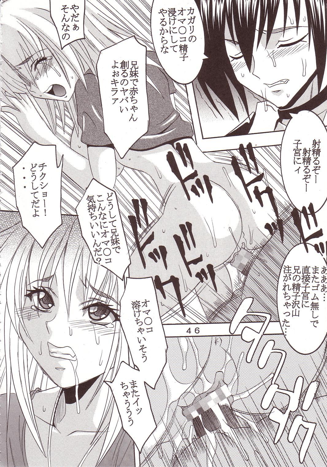 [聖リオ (キ帝ィ、石川銃兵)] SEED 3 (機動戦士ガンダムSEED)