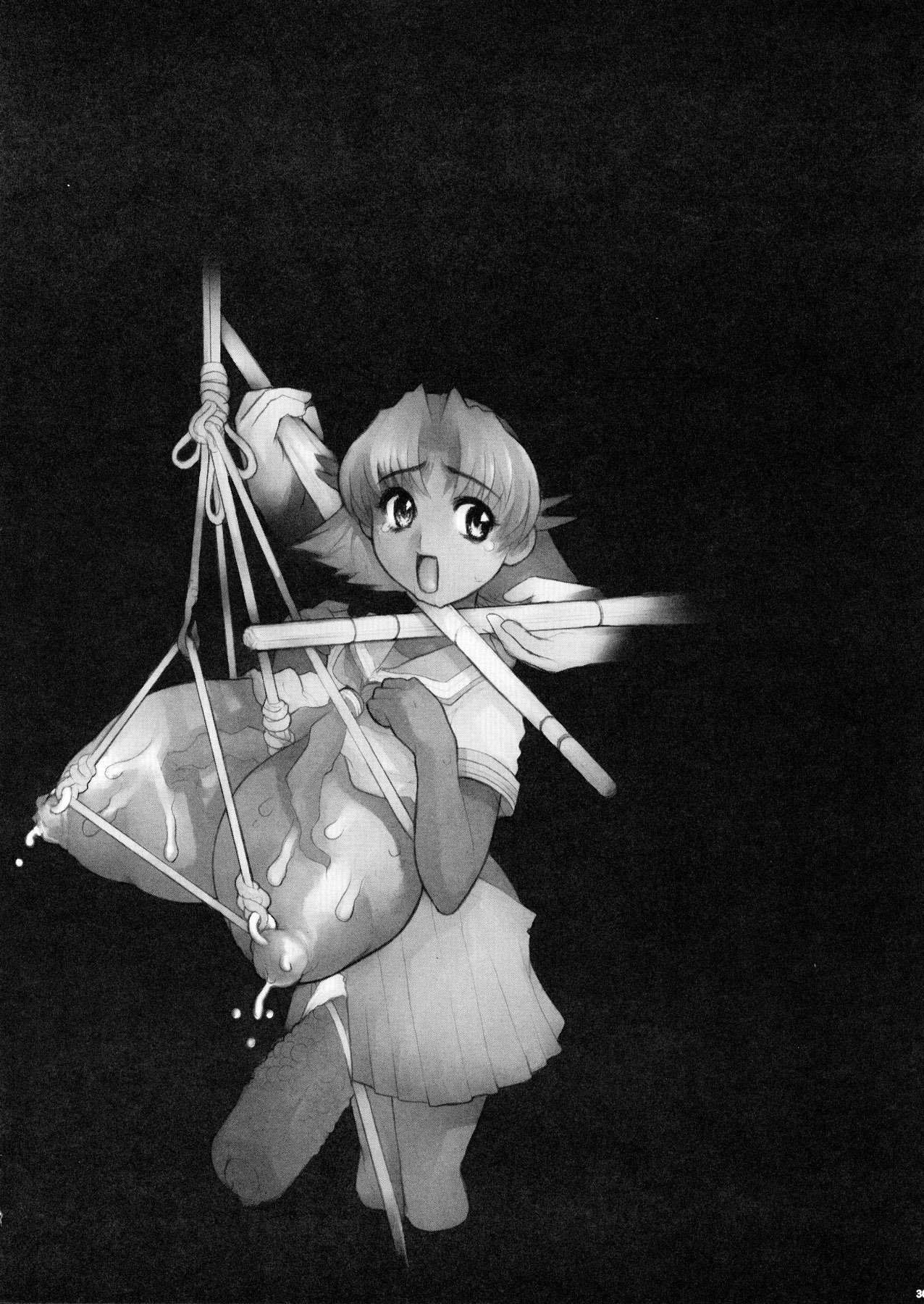 (C64) [DangerouS ThoughtS (危険思想)] エイケン・史上最大の弟子 準備号 (よろず)