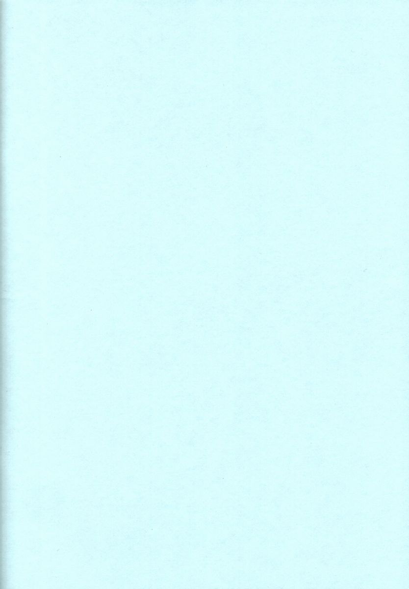 (C59) [HAND BOMB (ひぽぽたます)] ひよ子 (秘境探検ファム&イーリー)