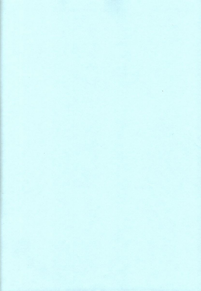 (C59) [HAND BOMB (ひぽぽたます)] ひよ子 (秘境探検ファム&イーリー)