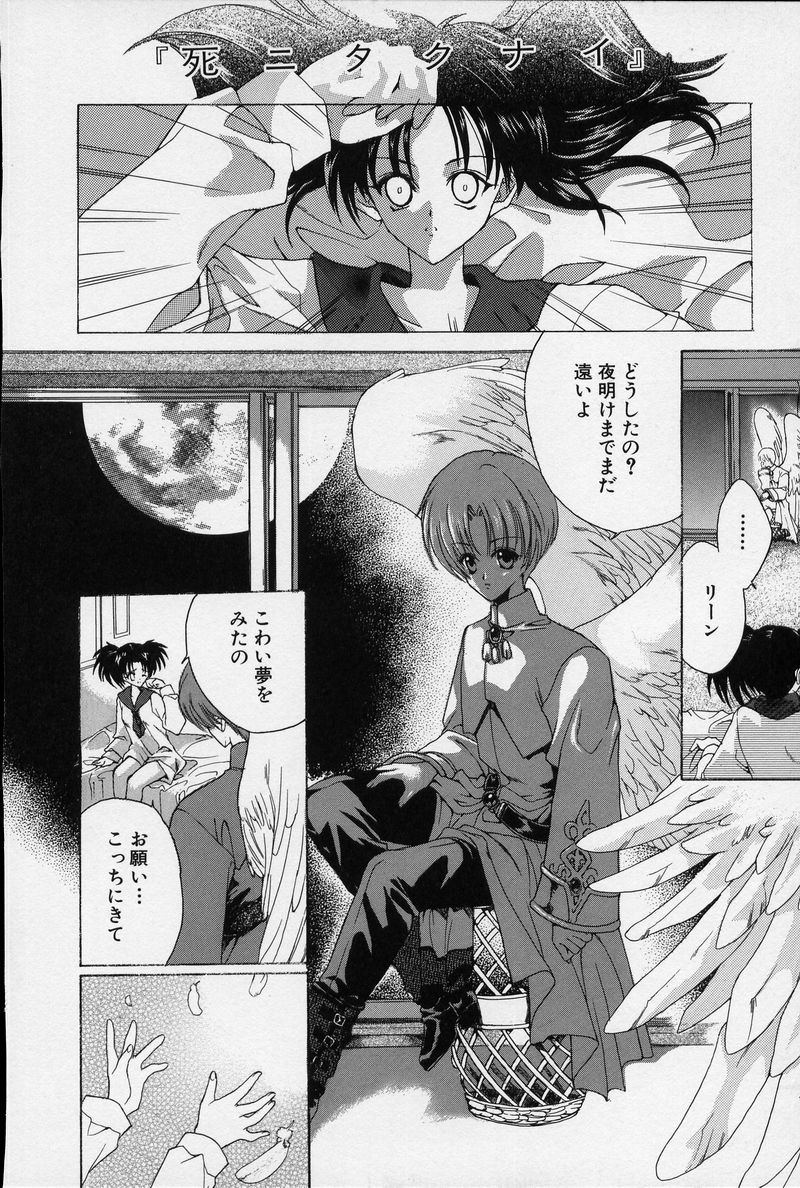 [ハセイアガナ] SPIRAL GARDEN