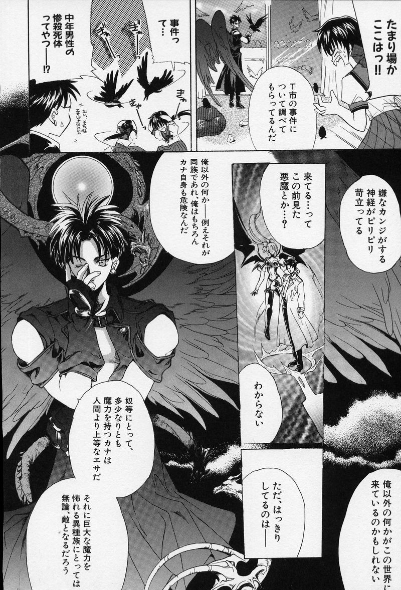 [ハセイアガナ] SPIRAL GARDEN