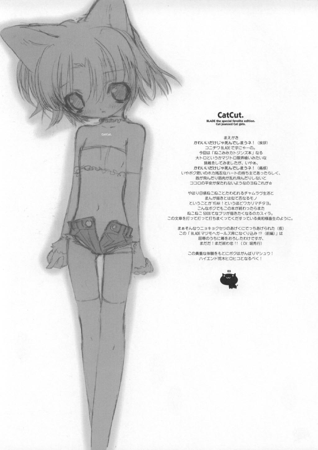 (C60) [GALAXIST (BLADE)] キャットカット [英訳]