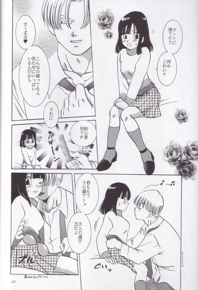 [ちり紙小屋, ふすま御殿 (障子張子, 栗)] 若葉 (ドラゴンボール)