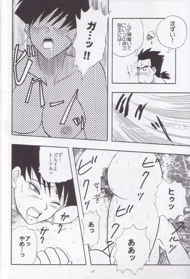 [ちり紙小屋, ふすま御殿 (障子張子, 栗)] 若葉 (ドラゴンボール)