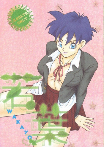 [ちり紙小屋, ふすま御殿 (障子張子, 栗)] 若葉 (ドラゴンボール)