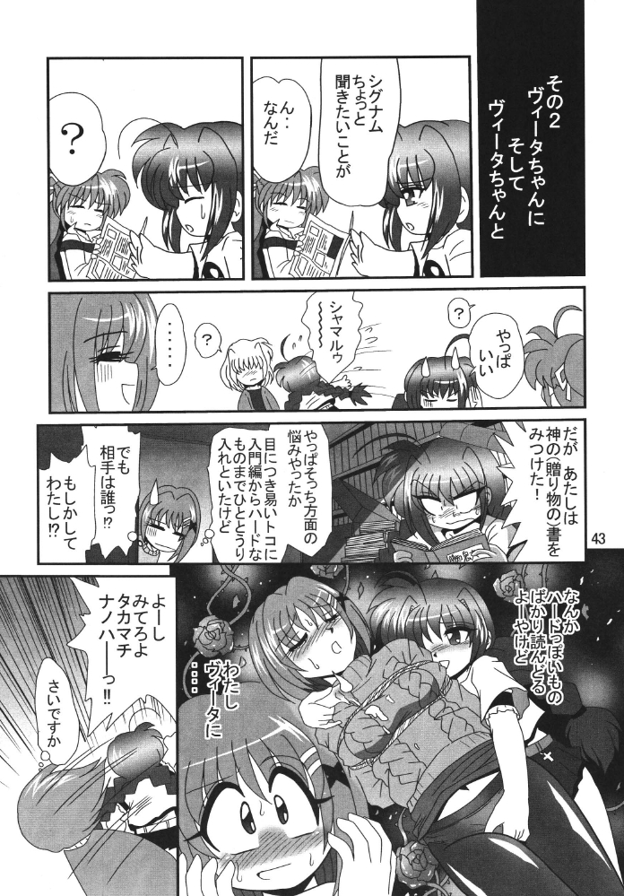 [サーティセイバーストリート2Dシューティング] ストレージイグニッション 2 (魔法少女リリカルなのは)