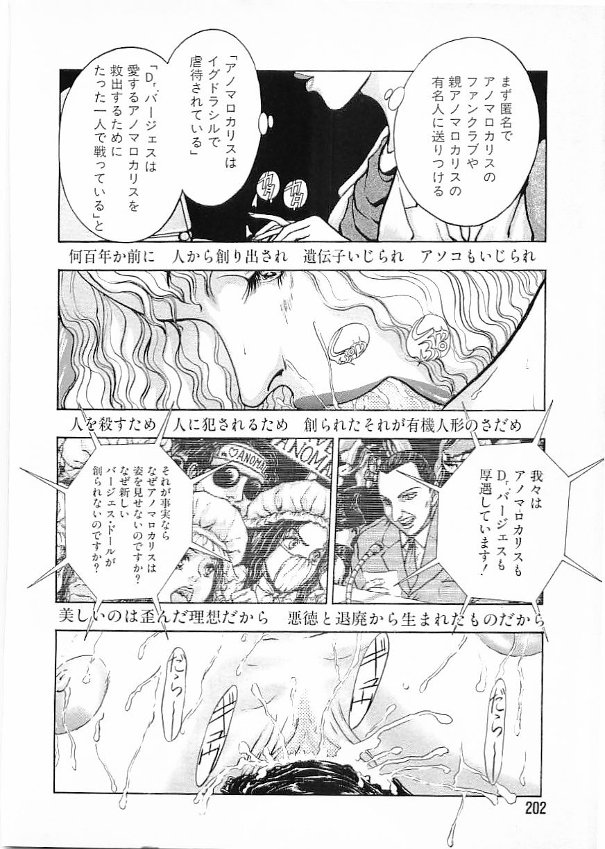 フラミンゴ 2000年2月号