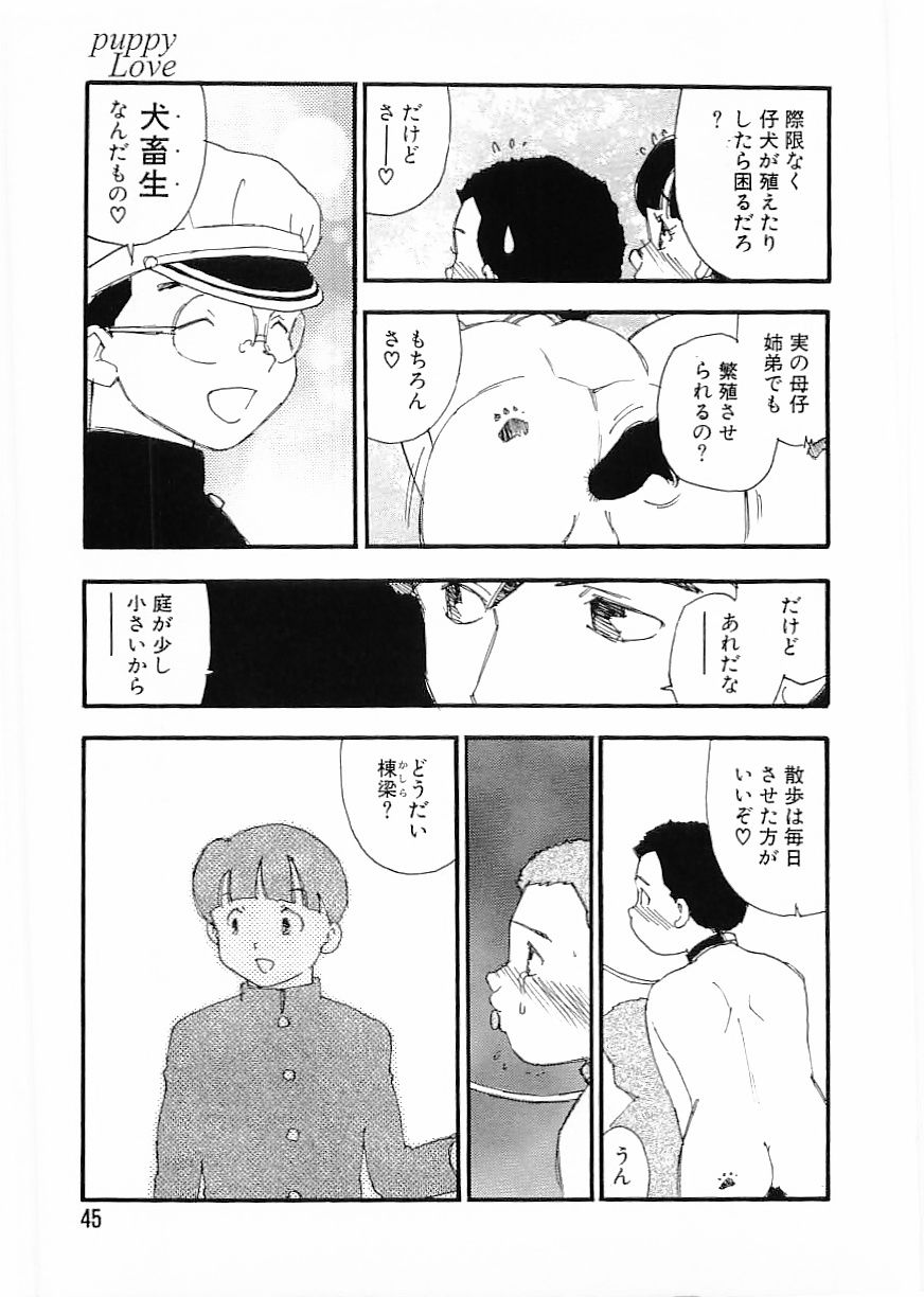 フラミンゴ 2000年2月号