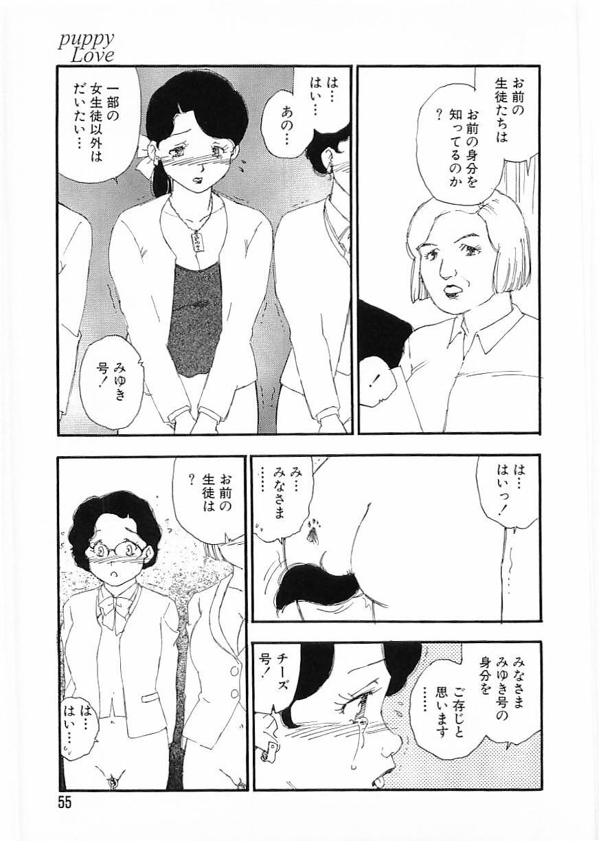 フラミンゴ 2000年2月号