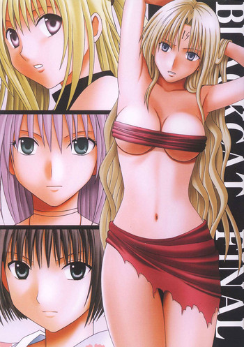 【クリムゾンコミックス】ブラックキャットファイナル【英語】