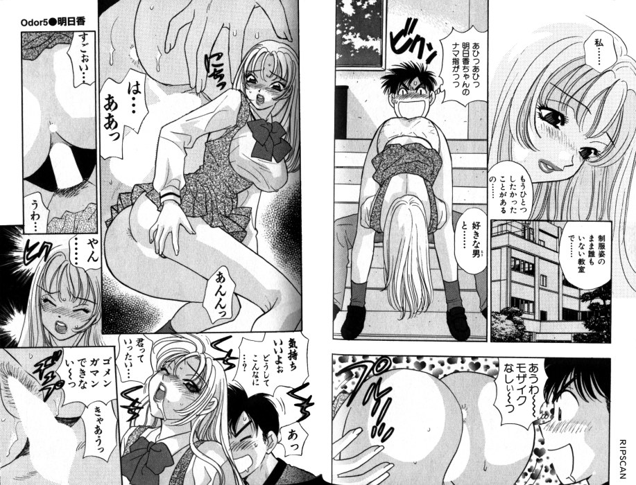 [小本田絵舞] レディプアゾン