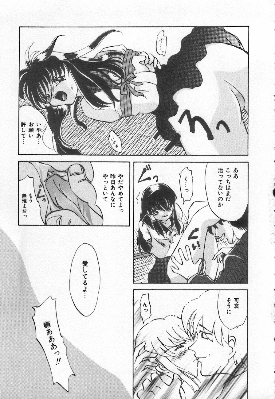 COMIC しりこだま 3