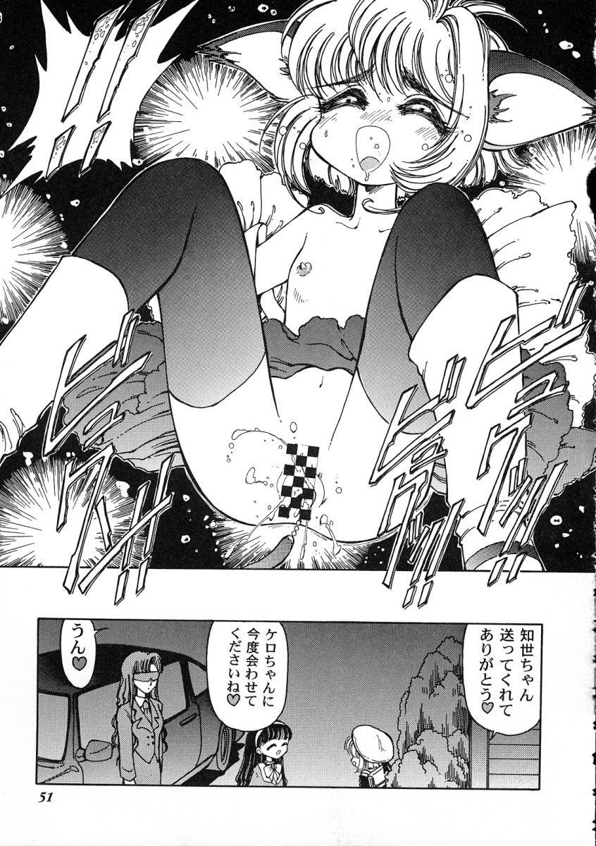 [アンソロジー] 友枝学園ファイル 2 (カードキャプターさくら)