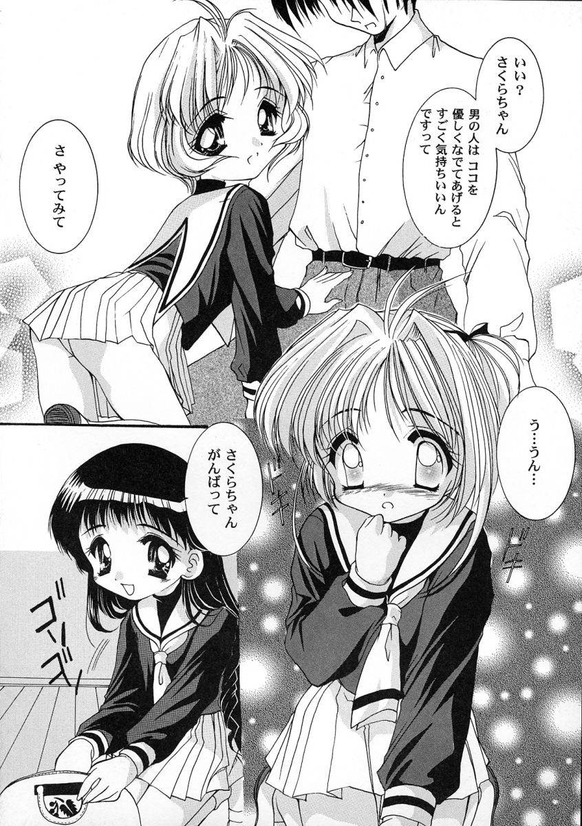 [アンソロジー] 友枝学園ファイル 2 (カードキャプターさくら)