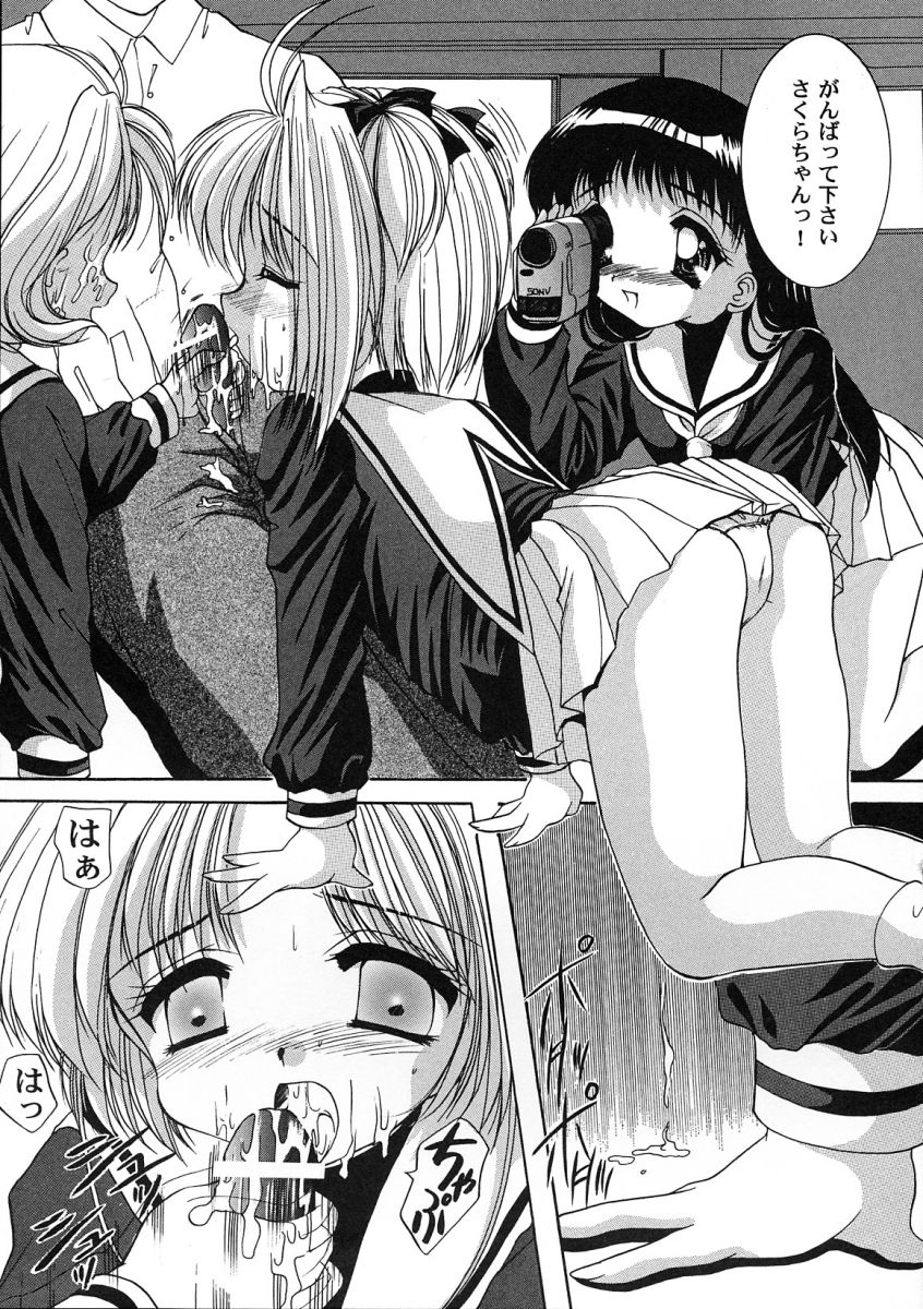 [アンソロジー] 友枝学園ファイル 2 (カードキャプターさくら)