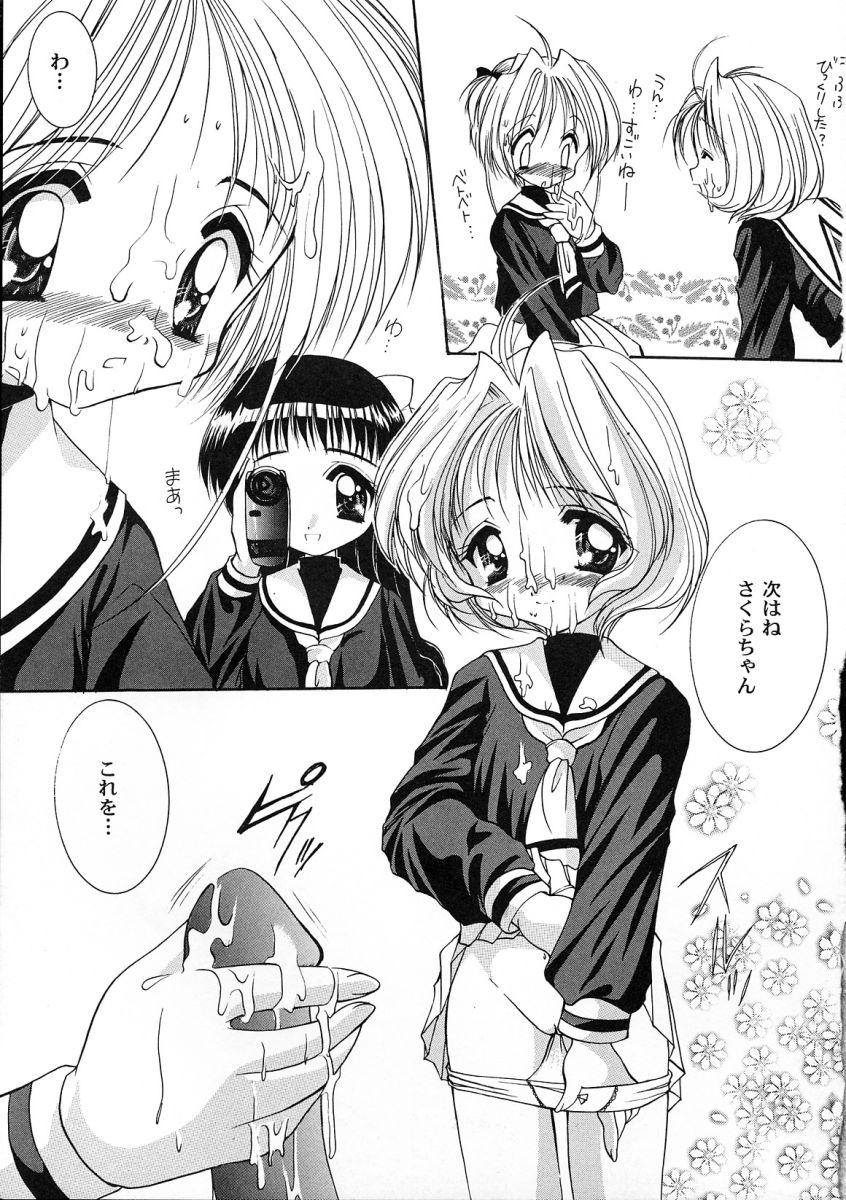 [アンソロジー] 友枝学園ファイル 2 (カードキャプターさくら)