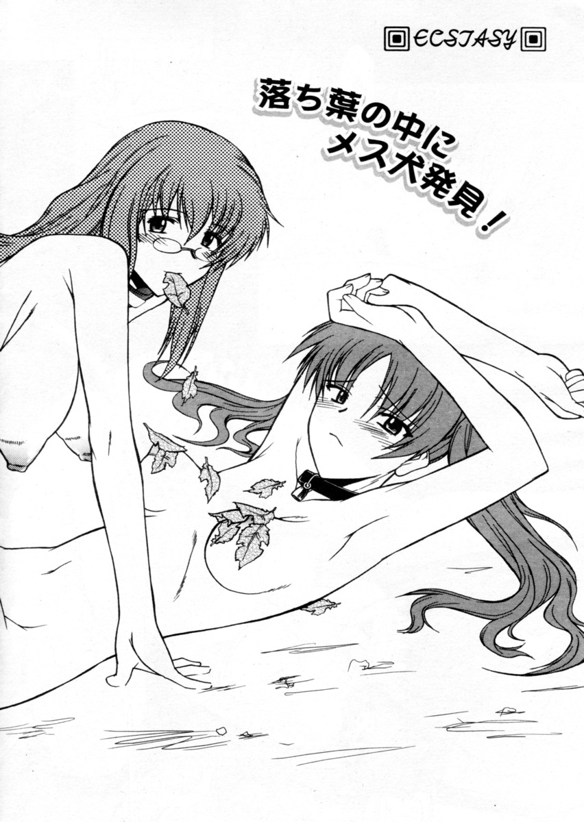 COMIC パピポ 2004年12月号