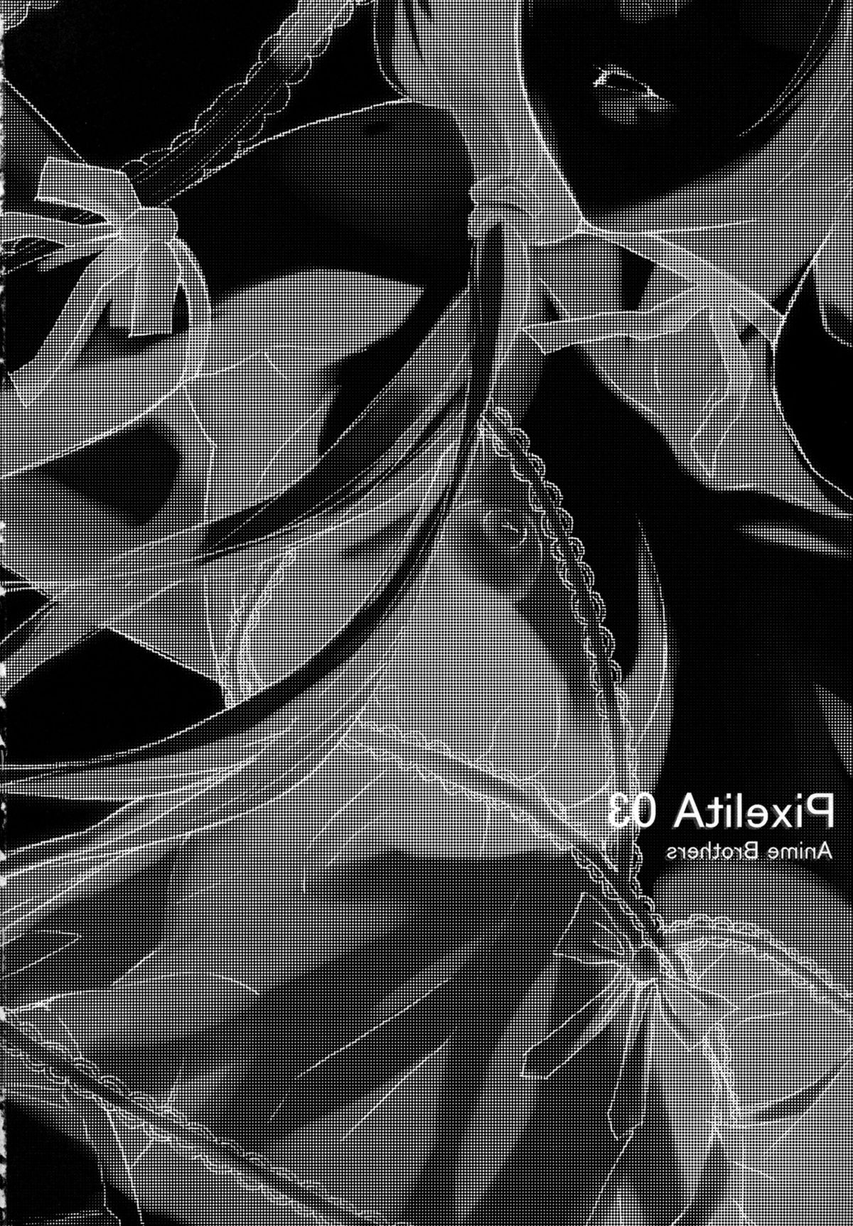 (C67) [アニメBROTHERS (いつきこうすけ)] ピクセリタ 03