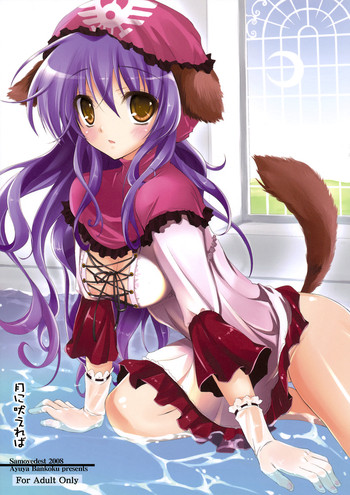 (サンクリ41) [サモエデスト (万国あゆや)] 月に吠えれば (ドラゴンクエストII 悪霊の神々)