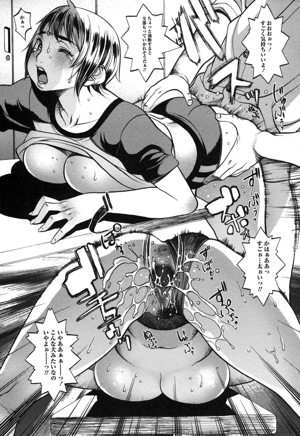 コミック・マショウ 2006年12月号