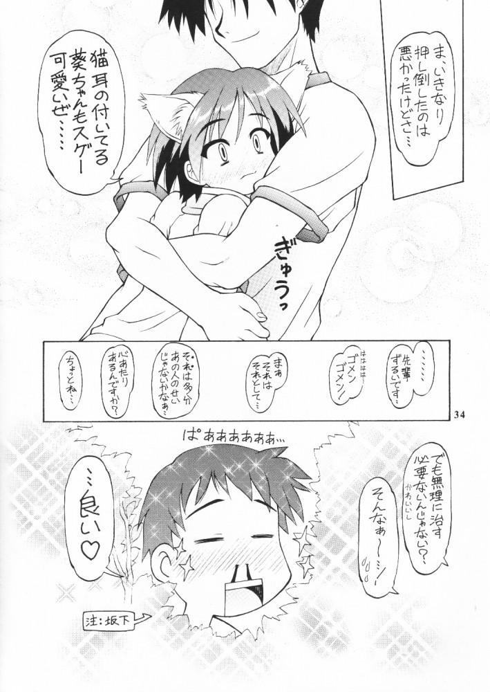 (C59) [ででぽっぽ (えびふらい, ねりわさび)] so loving (トゥハート)