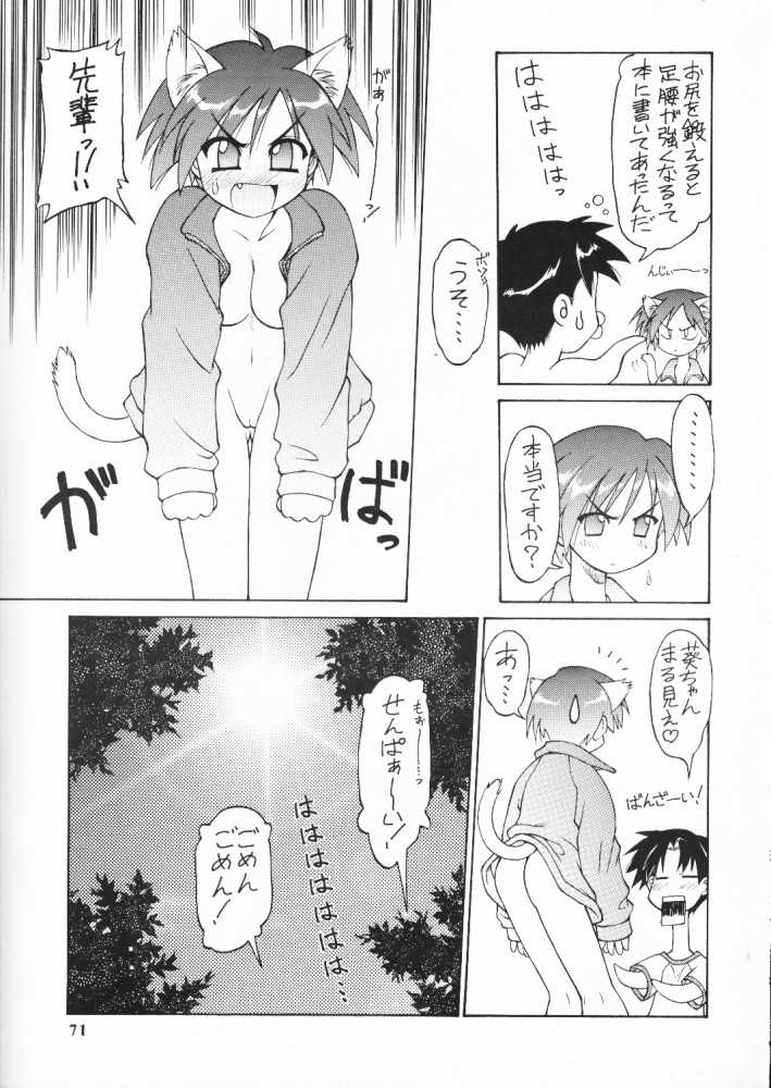 (C59) [ででぽっぽ (えびふらい, ねりわさび)] so loving (トゥハート)