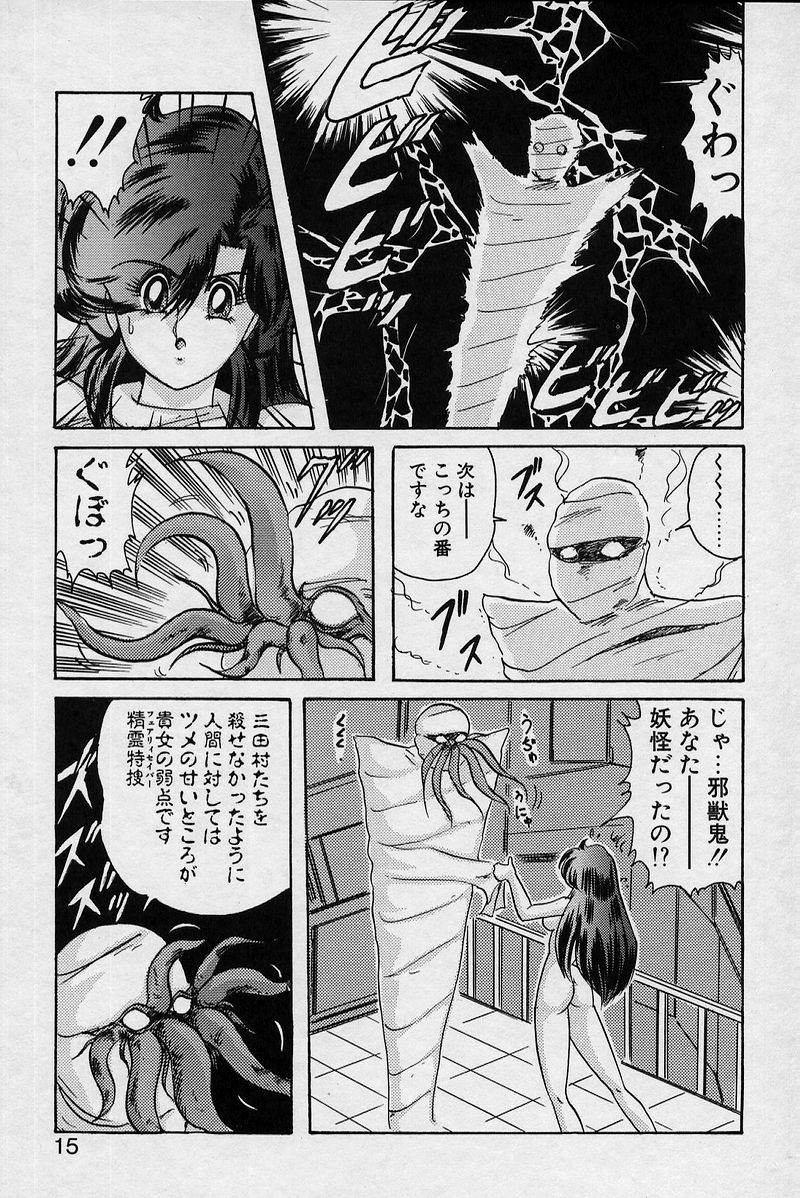 [上藤政樹] 精霊特捜V