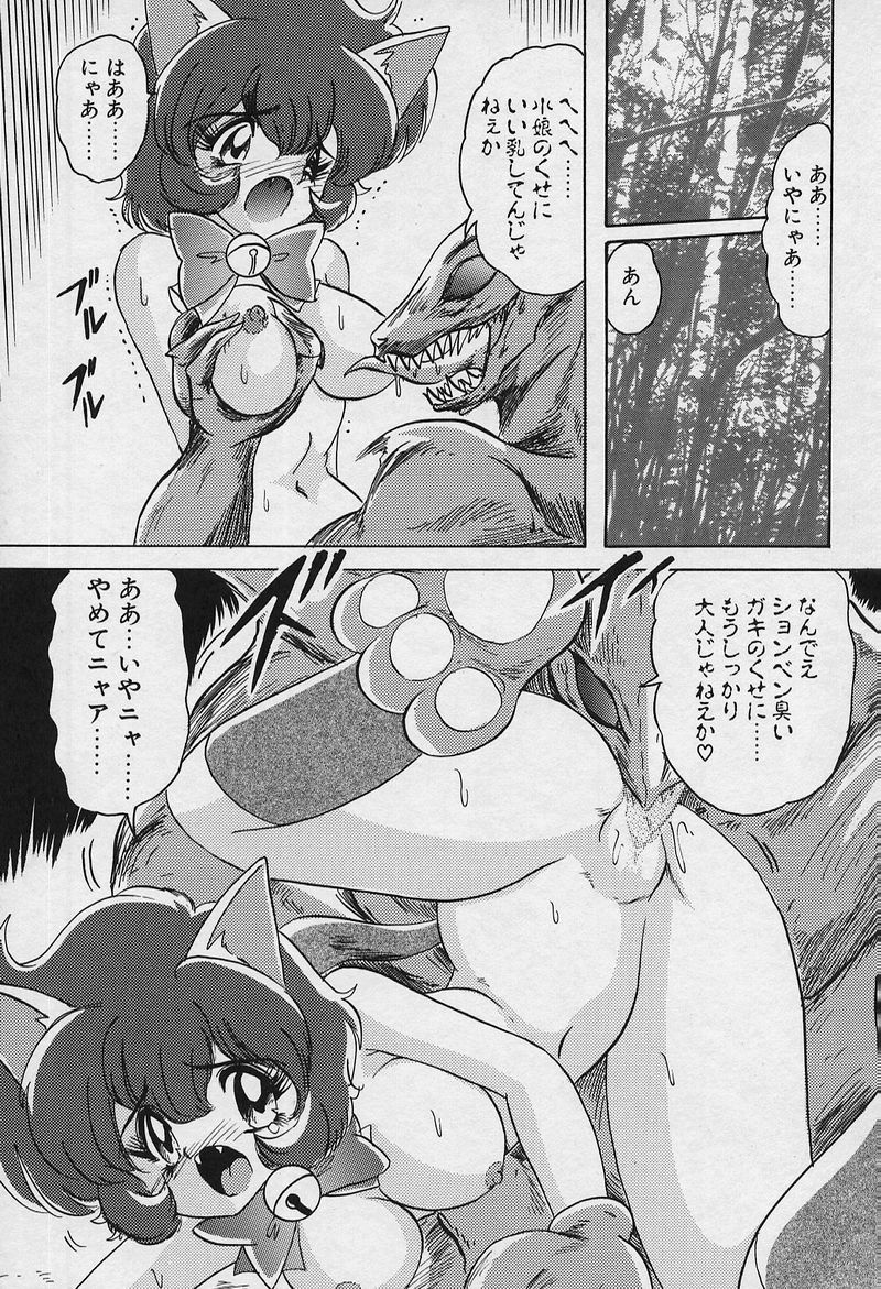 [上藤政樹] 精霊特捜V