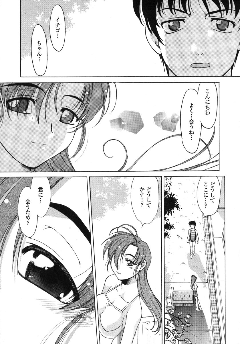 [島本晴海] ちゅ～ぺっと