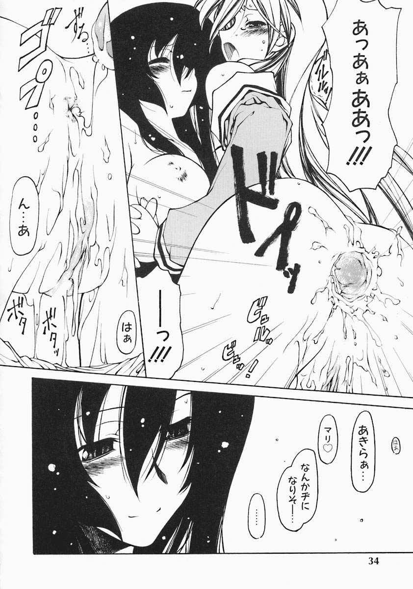 [ベンジャミン] すとれい・しーぷ