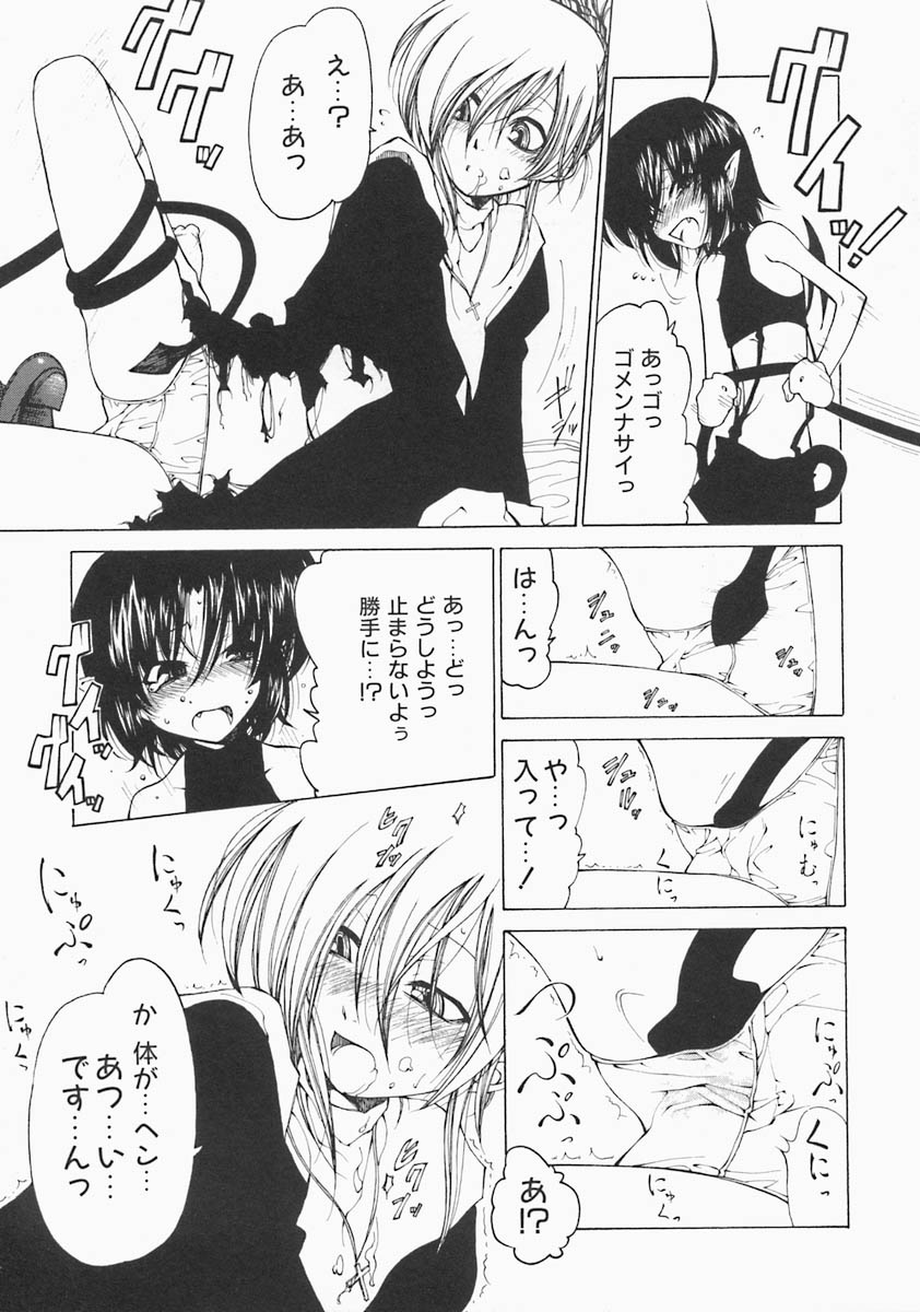 [ベンジャミン] すとれい・しーぷ