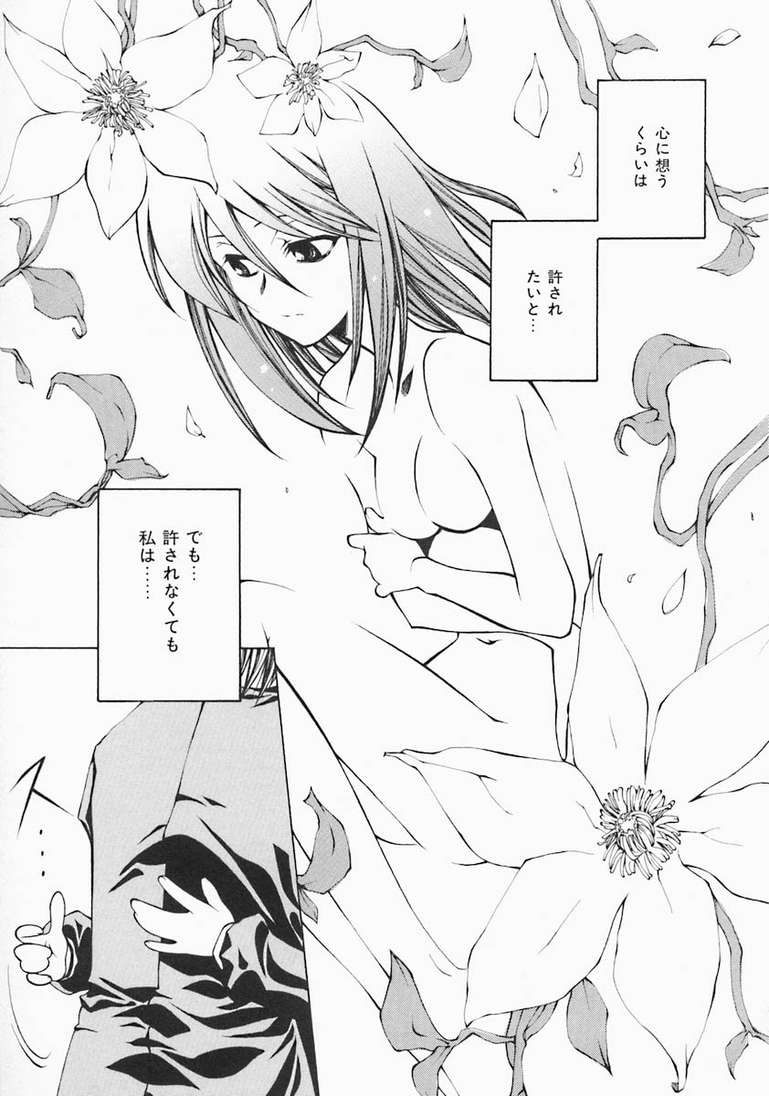 [ベンジャミン] すとれい・しーぷ