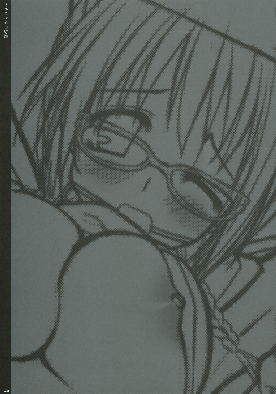 (サンクリ34) [PINK (あらいぐま)] 修行はつらいよ... (すもももももも ~地上最強のヨメ~)