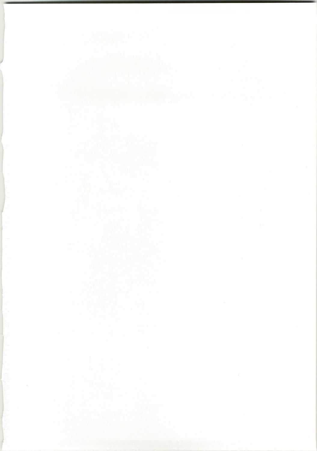 (C74) [にゃごズ (夜天月)] 天子想喜 (コードギアス 反逆のルルーシュ)