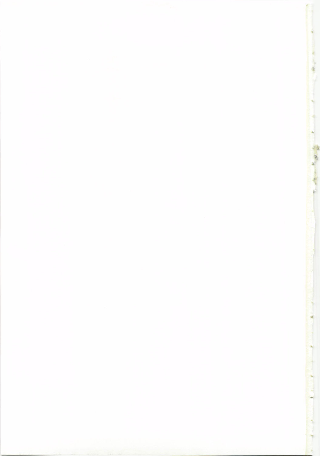 (C74) [にゃごズ (夜天月)] 天子想喜 (コードギアス 反逆のルルーシュ)