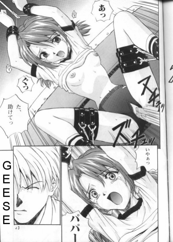 ガチョウ