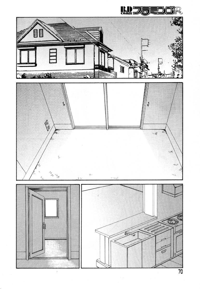 フラミンゴR Vol.03