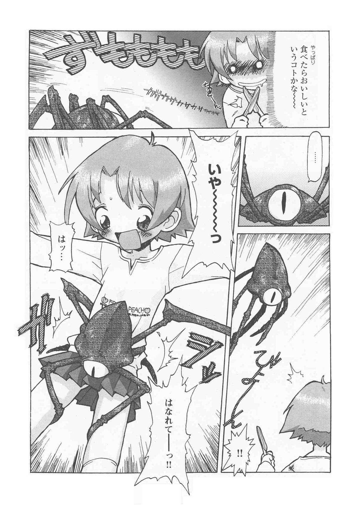 [ソフトチャーム] ReFLUX 1