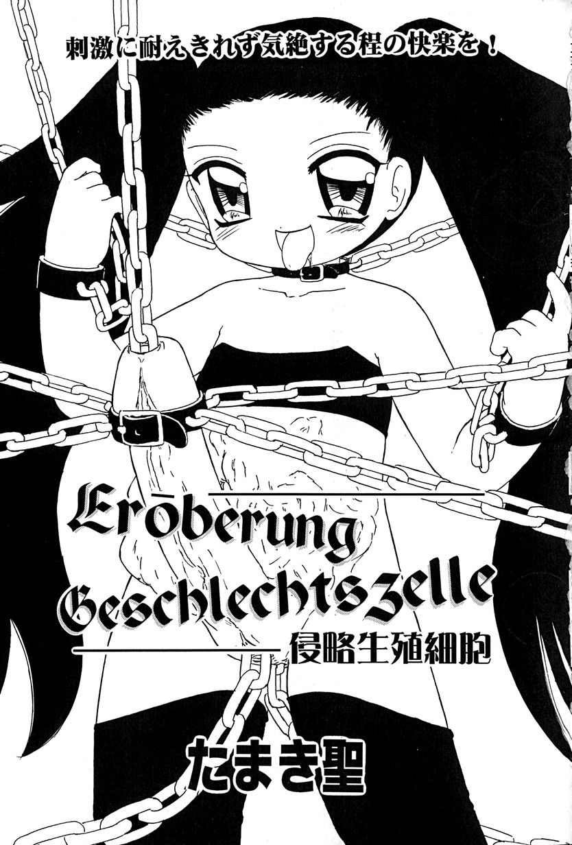 [アンソロジー] リトルピアス Vol.27