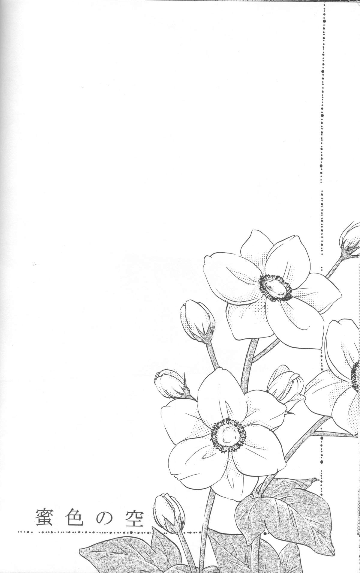 (C68) [アメチャン] 蜜色の空 (月姫)