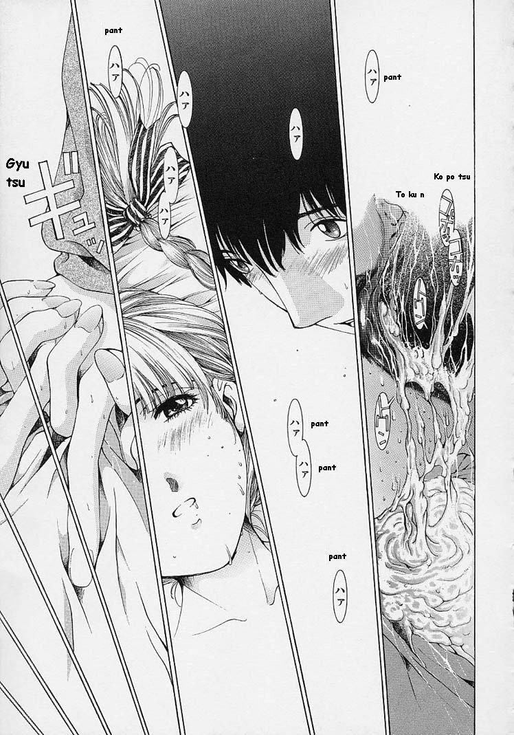 [はらざきたくま] ｓｈｅｌｌ ーシェルー [英訳]