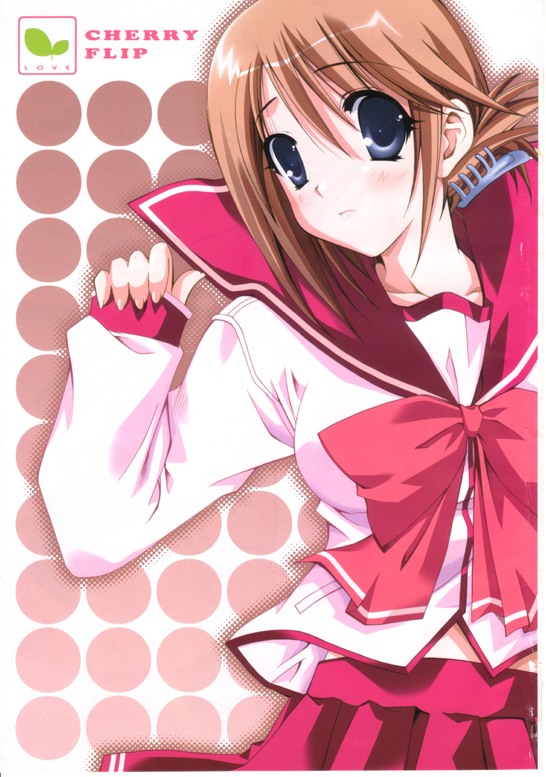 (C68) [MIX-ISM (犬威赤彦)] cherryflip (トゥハート2)